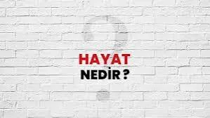 Evladına İyi Bakıp Büyüyen Baba ve Sorumsuz Evlatlar" Hayırsız Evlat Acı Dramları