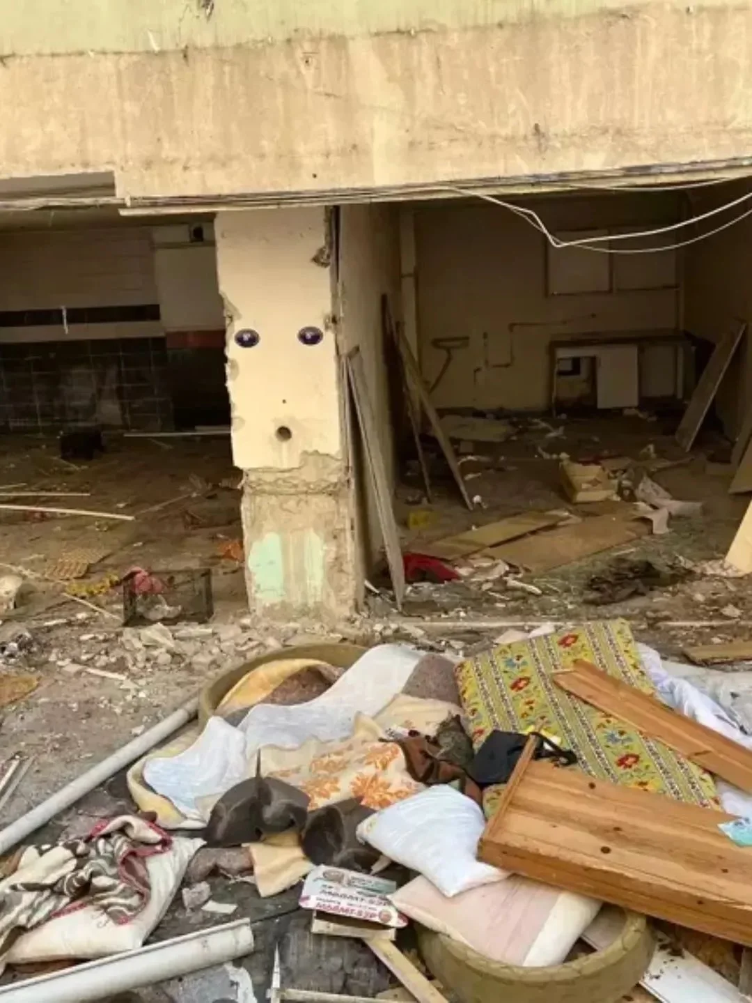 TÜYLER ÜRPERTEN OLAY! BİNADA POŞETLER İÇERİSİNDE 3 KAFATASI VE KEMİK PARÇALARI BULUNDU