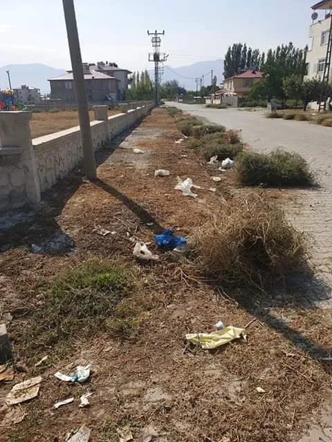 Yol Ve Parklardaki Yabani Otlar Temizleniyor