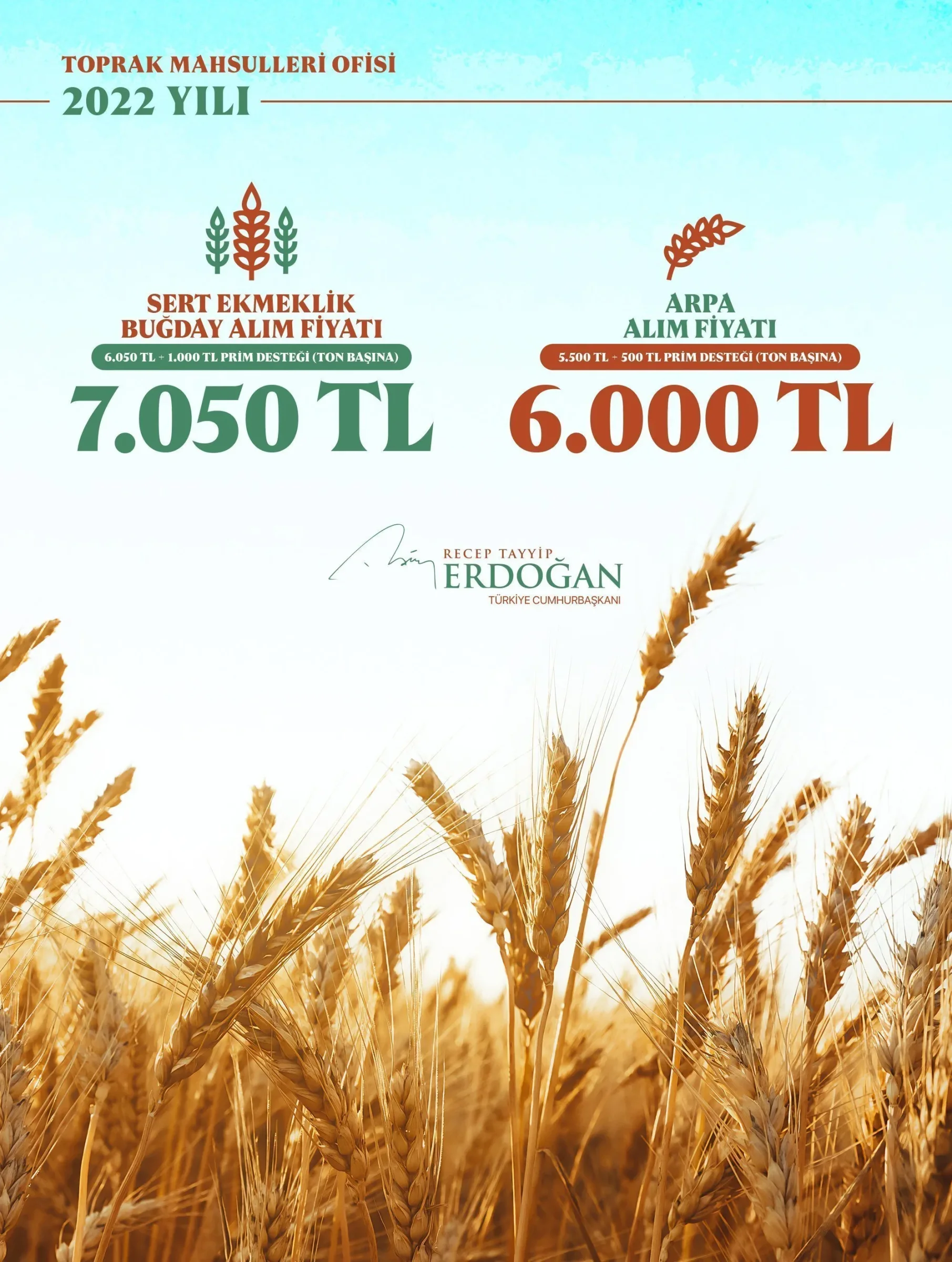Toprak mahsulleri ofisi yeni buğday alım fiyatı