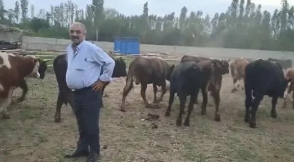 Kurbanlık satışında 120 bin liralık dolandırıcılık iddiası