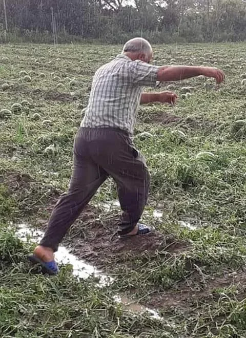 IĞDIR'DA TARLALARI DOLU VURDU, ÇİFTÇİ MAĞDUR OLDU