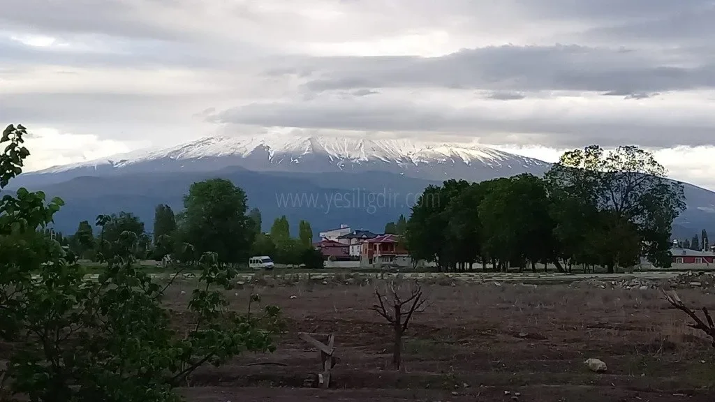 Dolandırıcıların yeni yöntemlerinden uzak durun ve bu tuzağa düşmeyin...