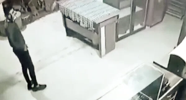 Fırındaki yardım kumbarasını böyle çaldı