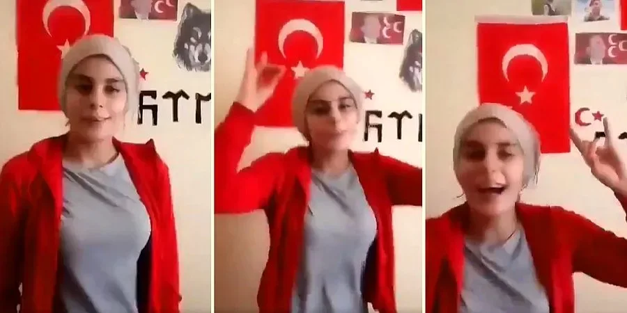 Kürtlere Yapılan Saldırılara Sevinen Kadın: 'Uzmanımız Koydu Hoppa'