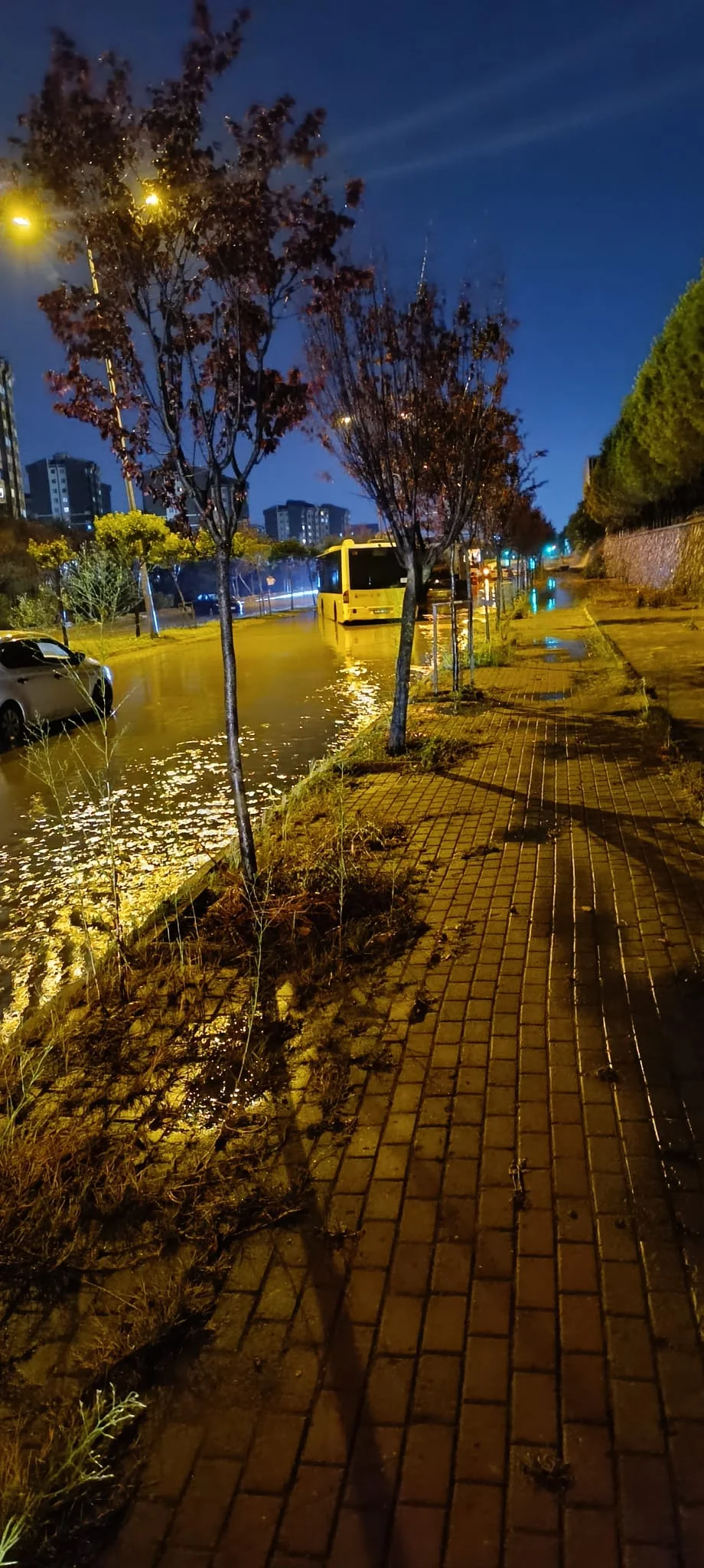 İstanbul Arnavutköy ve Başakşehir'de Şiddetli Sağanak Yağış Felaketi: Cadde ve Evler Sular Altında, Bir Kişi Hayatını Kaybetti
