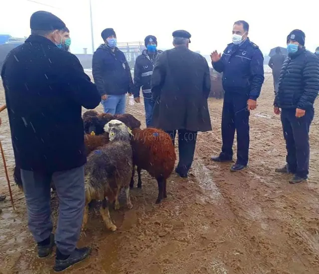 Tarım Müdürlüğünde ortaklaşa denetim yaptılar