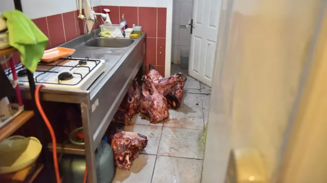 Antalya'da Gıda Güvenliği Alarmı: Bir Vatandaşın Hamam Böcekli Yumurta İhbarı, Son Kullanma Tarihi Geçmiş Et Skandalını Ortaya Çıkardı