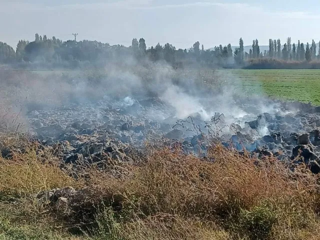 Hasan Vurgun Ot Yangını