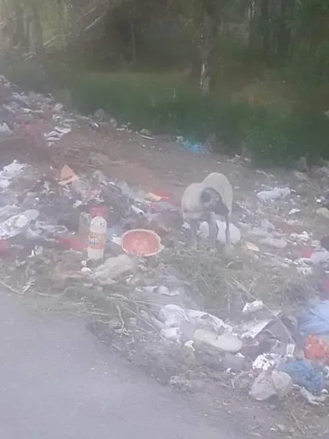 İyi akşamlar hepinize yepyeni bir gündem paylaşarak Allah'ın selamı üzerinize olsun.