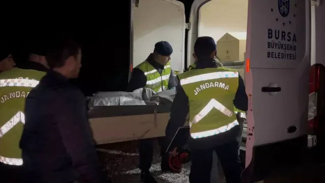 İznik'te Şok Eden Cinayet: 18 Yaşındaki Genç Yakılarak Öldürüldü