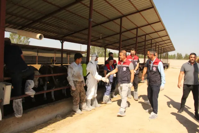 İL MÜDÜRÜMÜZ AHMET TİNGİŞ AŞILAMA ÇALIŞMALARINI YERİNDE İNCELEDİ