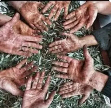 Bütün iyiliklerin anası paradır emekçinin hakkını çalıyorlar