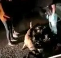 İran'dan Iğdır'a ayakkabısıyla uyuşturucu getiren zanlı tutuklandı