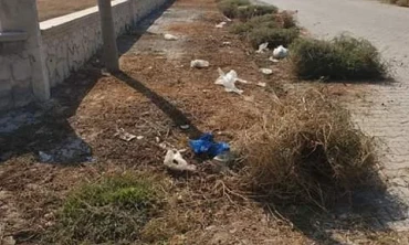 Yol Ve Parklardaki Yabani Otlar Temizleniyor