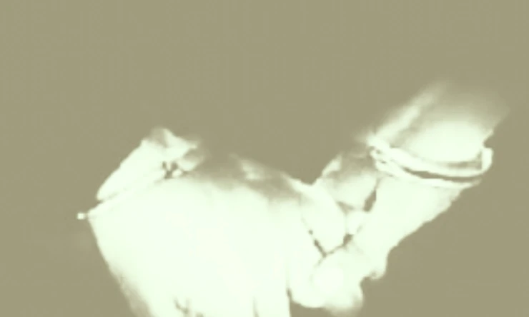 4 Kasım Meclis gündemi! Af, Nafaka durumu!