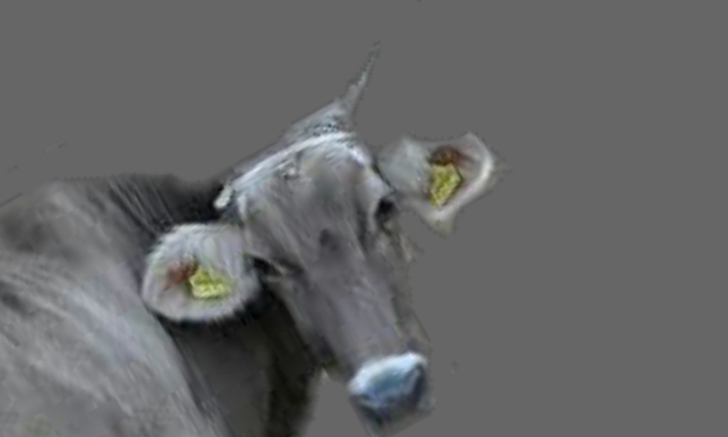 İnsan ineğe seslenmiş: Ey İnek! Ne yapmaya geldin dünyaya?