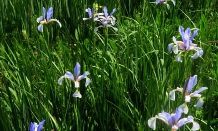 IĞDIR Hava durumu: Meteoroloji'den şiddetli yağış uyarısı
