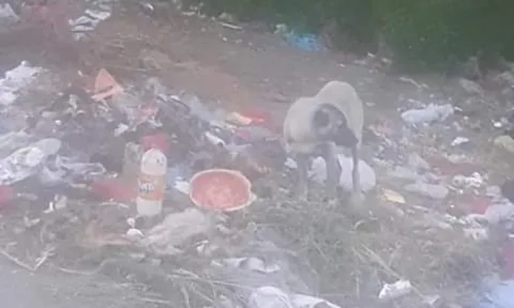 İyi akşamlar hepinize yepyeni bir gündem paylaşarak Allah'ın selamı üzerinize olsun.