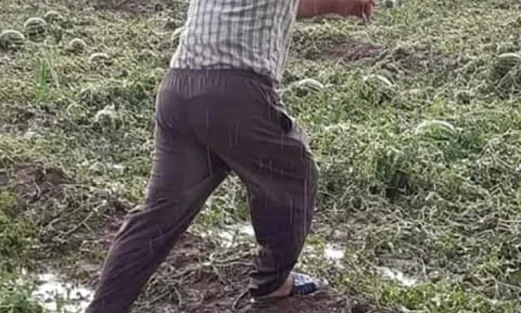 IĞDIR'DA TARLALARI DOLU VURDU, ÇİFTÇİ MAĞDUR OLDU