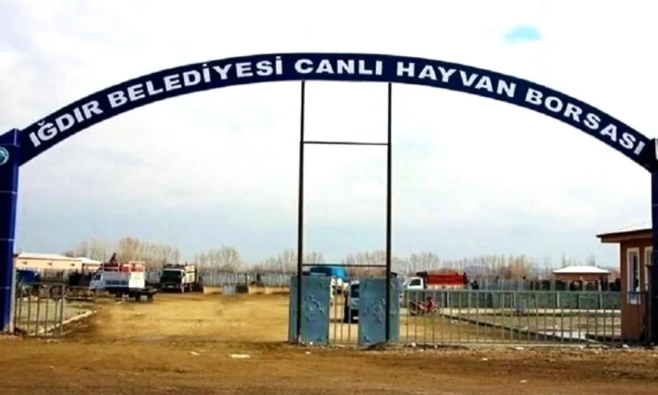 'Canlı Hayvan Pazarı' haftanın beş günü açık olacak