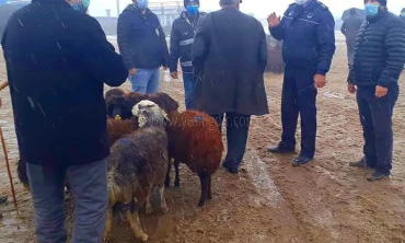 Tarım Müdürlüğünde ortaklaşa denetim yaptılar