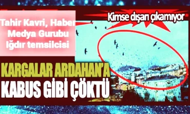 KARGAKAR ARDAHAN'A KABUS GİBİ ÇÜKTÜ