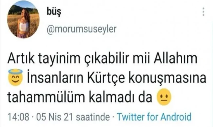 Mardin'in Nusaybin ilçesinde öğretmenden Irkçı Paylaşımı: