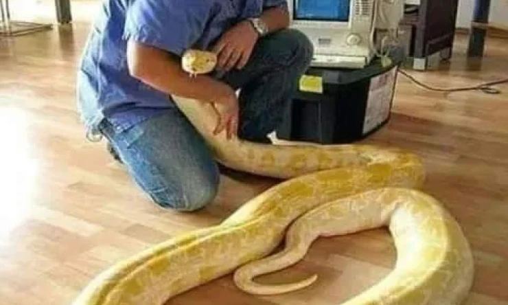 Bize ihanet edenler kendi içimizdeki olan ihanetçilerdir - Yabancılar değil!