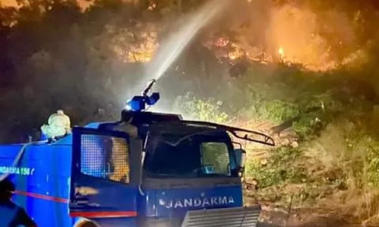 Jandarma, 4 ildeki orman yangınlarına 2310 personelle müdahale ediyor