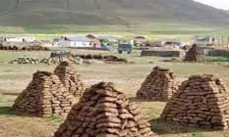 Doğu köylerinden tezek yakma geleneği devam ediyor