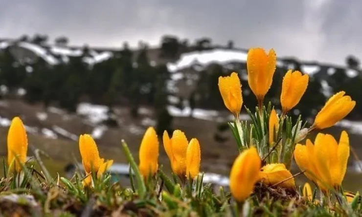 Türkiye'm bugün ilk cemre havaya düştü