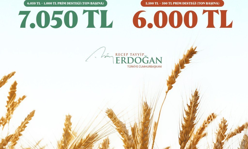 Toprak mahsulleri ofisi yeni buğday alım fiyatı