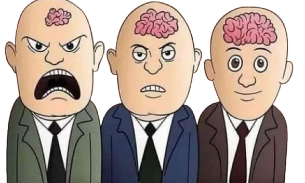 İnsan ne kadar az bilgili ise o kadar gürültülüdür, İnsan beyni resimdeki gibidir…