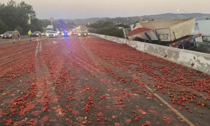 Kaliforniya Otoyoluna Bir Kamyonun Binlerce Domatesi Dökmesiyle Üç Kişi Yaralandı