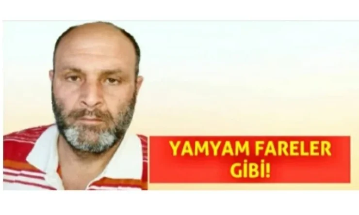 Iğdır'da iki millet, iki hikaye! Irkçı millet!