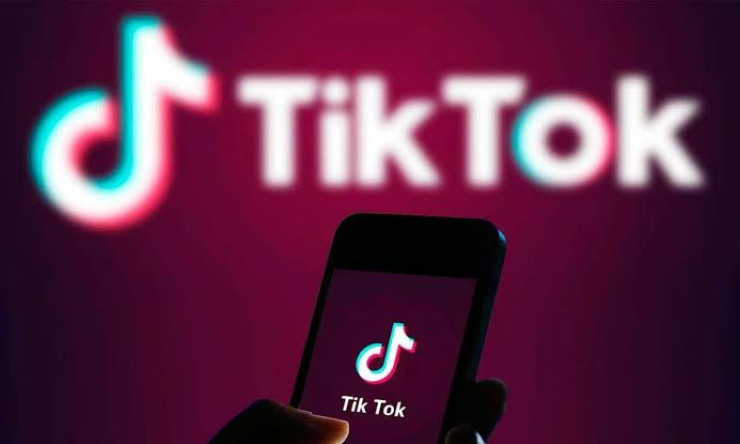 TikTok'a 1 milyon 750 bin lira para cezası