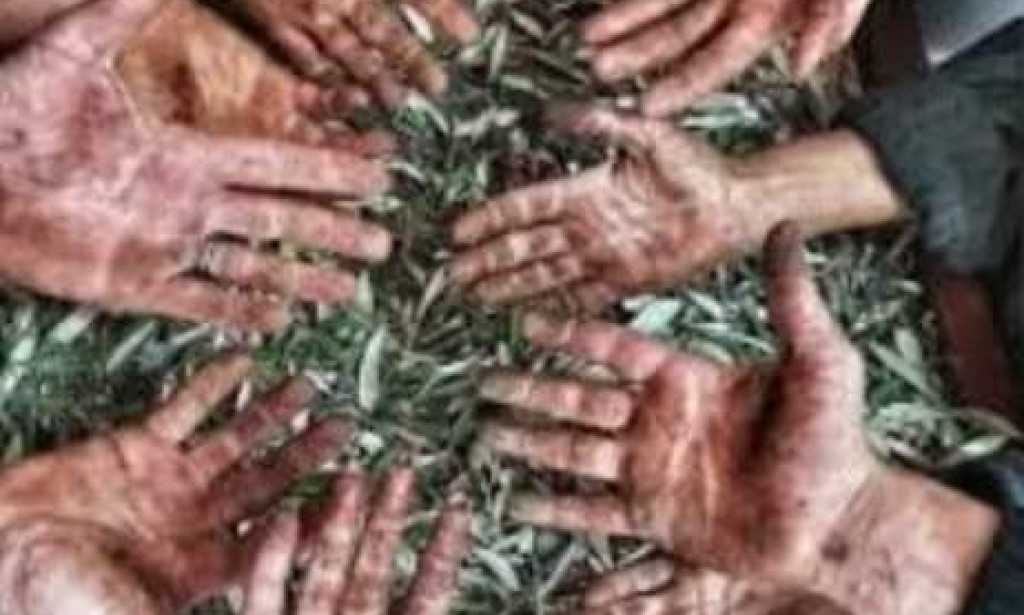 Bütün iyiliklerin anası paradır emekçinin hakkını çalıyorlar