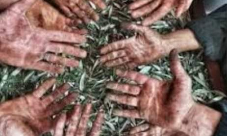 Bütün iyiliklerin anası paradır emekçinin hakkını çalıyorlar