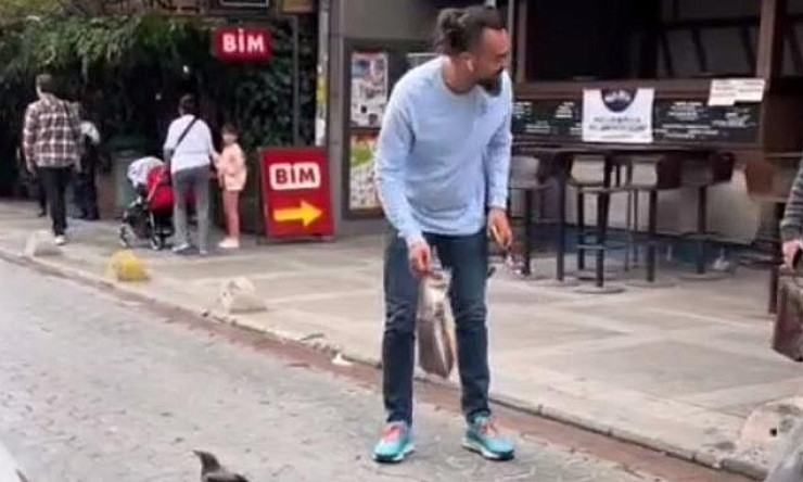 Karga Çetesi, Kadıköylüleri Zor Anlara Sokuyor: Vatandaşlar Karga Saldırılarıyla Mücadele Ediyor