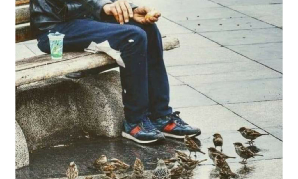 Her Cana Yoldaş Olanağımdır