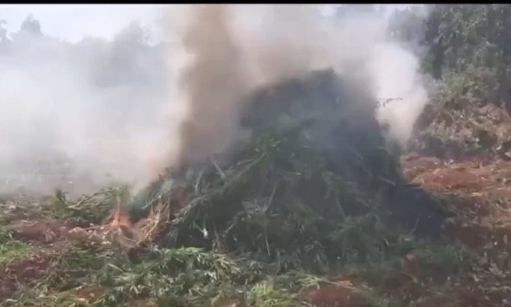 Diyarbakır'da Büyük Uyuşturucu Operasyonu