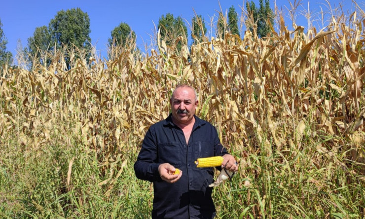 Sayın milletvekilimiz Cantürk Alagöz, çiftçiye de babalık yaparsan minnettar kalırız