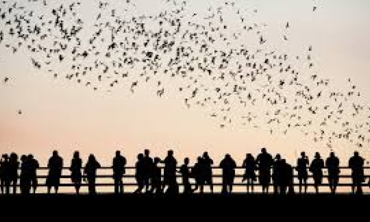 Okumanız İçin Faydalı Bir Metindir: Çelişkili İnançlar ve Davranışlar