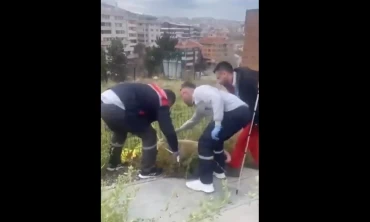 Ankara Büyükşehir Belediyesi, Sokak Köpekleri Toplama Çalışmalarına Hayvan Severlerden İtiraz