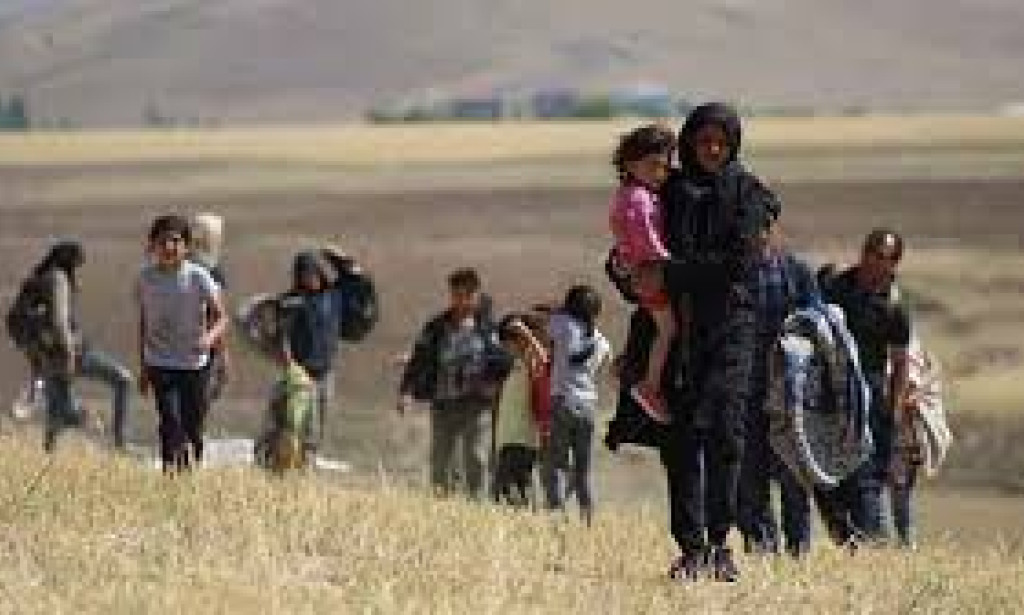 "Suriye ve Afgan Göçü: Toplumsal ve Ekonomik Dinamikler" Göç ve Etkileri Değişken...