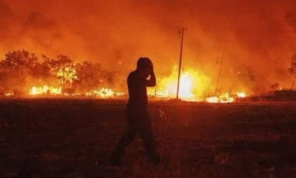 Diyarbakır ve Mardin'deki Yangınlarda Çok Sayıda Can Kaybı ve Yaralanma