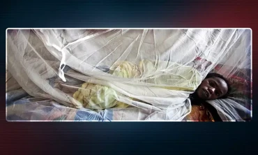 Lassa Ateşi Salgını Nijerya'da Yayılıyor: Bir Haftada 10 Can Kaybı!