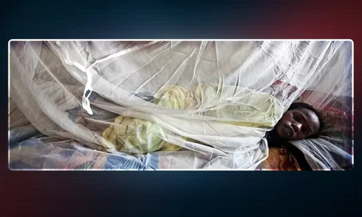 Lassa Ateşi Salgını Nijerya'da Yayılıyor: Bir Haftada 10 Can Kaybı!