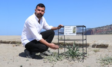 Gazipaşa Belediyesi’nden Doğaya Örnek Dokunuş: Kum Zambakları Koruma Altında